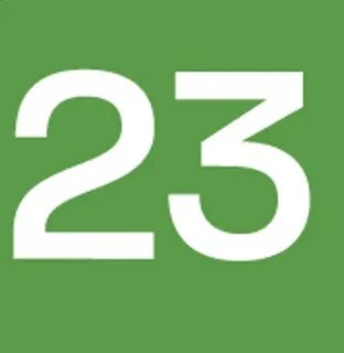 Статус 23 года