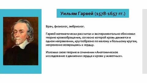 Какая теория обосновывает