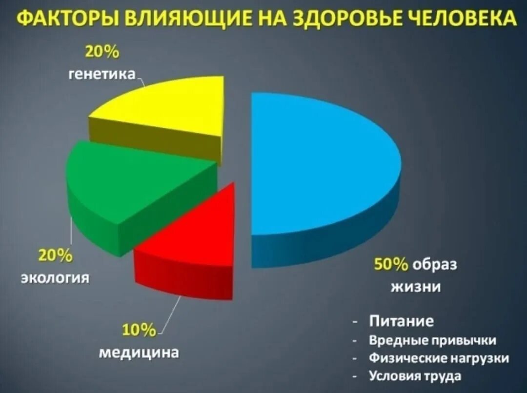 Сколько живут отношения. Диаграмма здоровья. Факторы здоровья диаграмма. Факторы влияющие на здоровье человека диаграмма. Диаграмма влияния на здоровье.