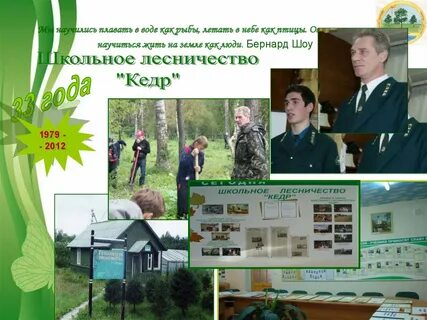 Лесничества презентация