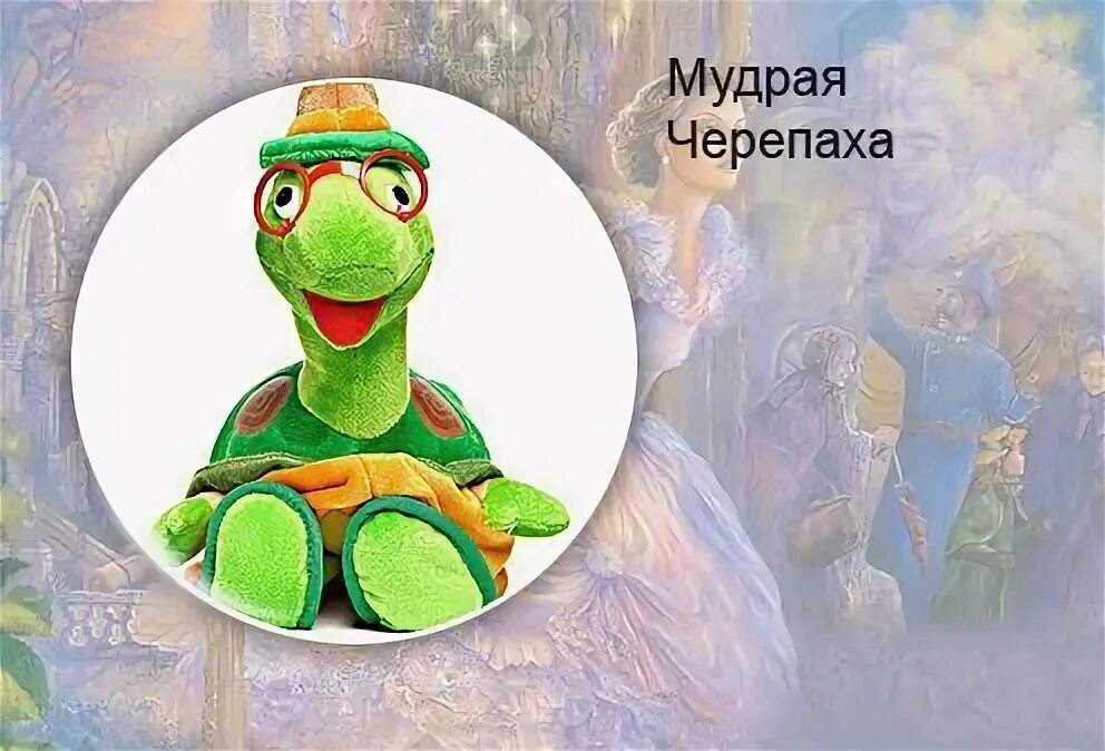 Мудрая черепаха хочет знать