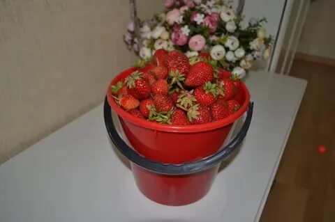 Ведро клубники сколько кг