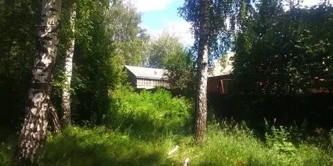 Сосновка искитимский