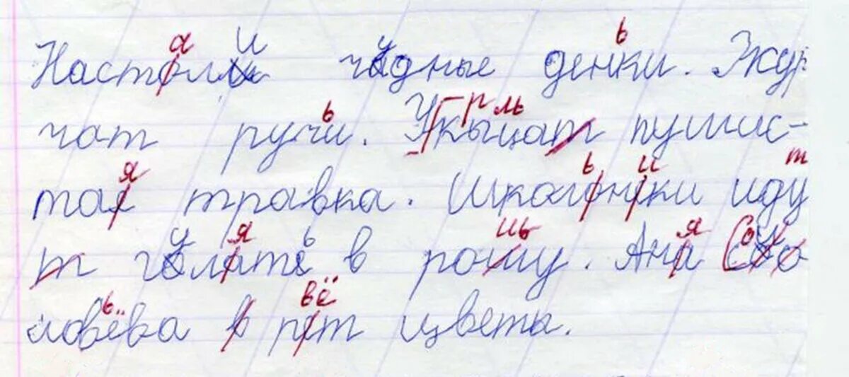 Дети с дисграфией. Ошибка в тетради. Исправленные ошибки в тетради. Письменные работы детей с дисграфией. Диктант дисграфия