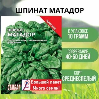 Шпинат описание