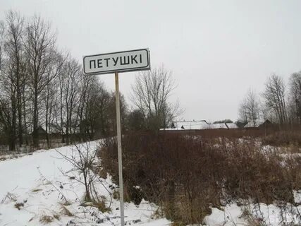 Петушок деревня