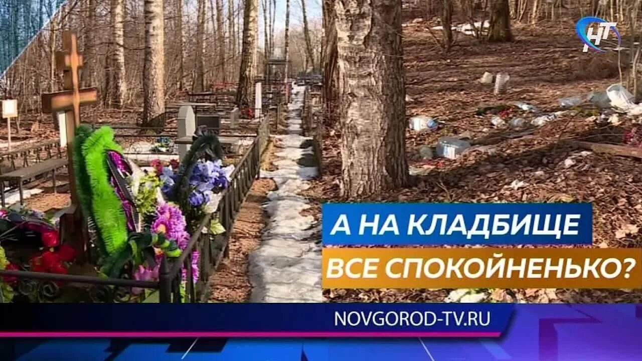 А на кладбище всё спокойненько ножкин. Южное кладбище могилы. На кладбище спокойненько. А на кладбище все спокойненько. А на кладбище ножкин.