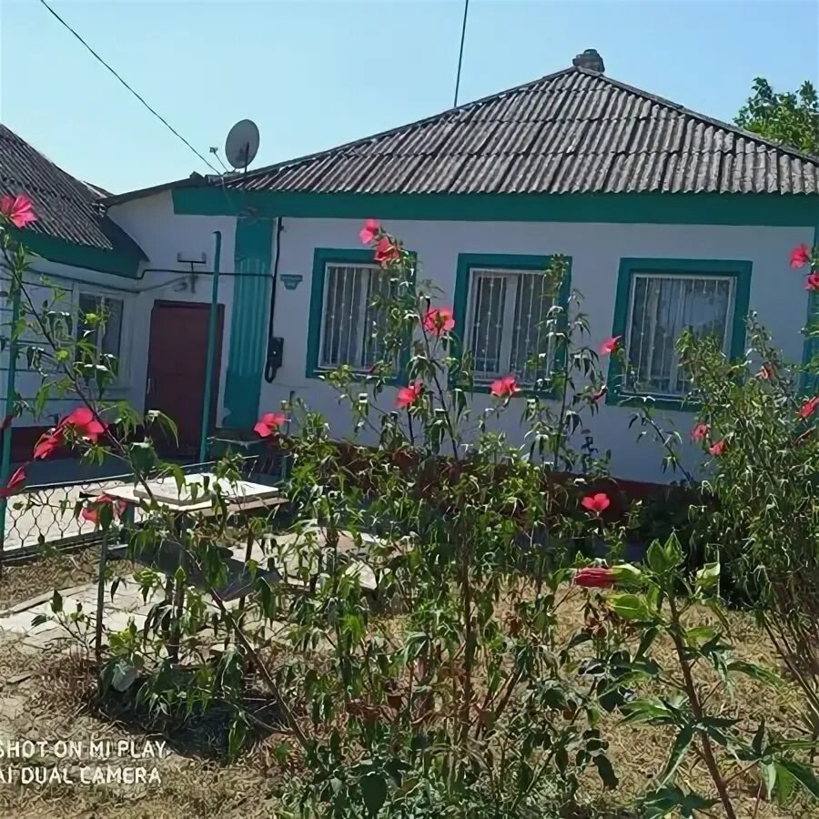 Варениковская краснодарский край. Хутор варениковский. Варениковской / краснодарский край. Краснодарского края. Ст варениковская краснодарский край.