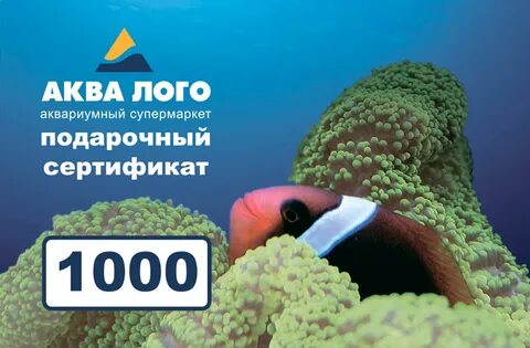 Аква лого