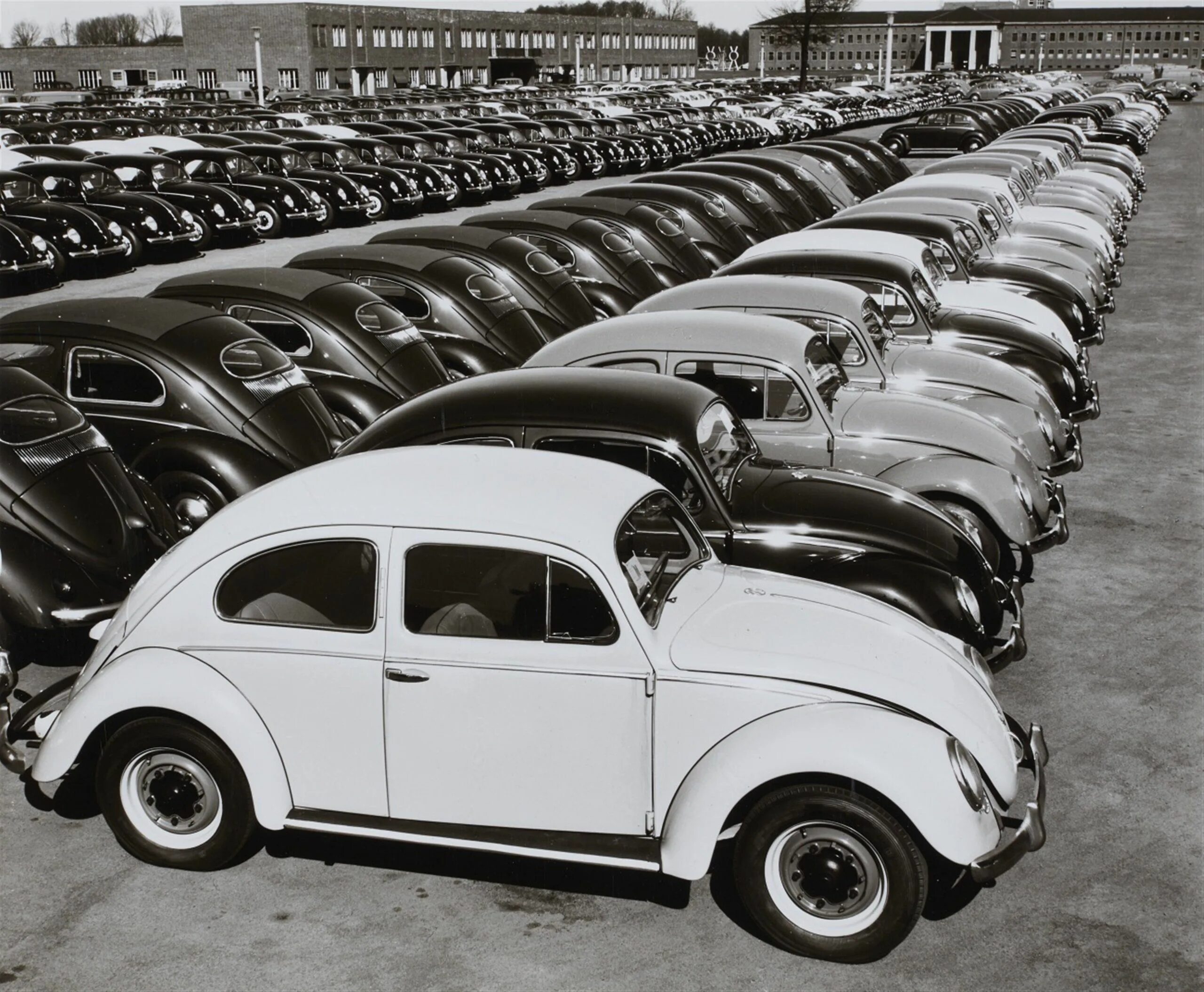Volkswagen первый автомобиль. Фольксваген Жук 1935. Фольксваген Кафер Жук. Фольксваген 1945. Фольксваген Жук 1953.