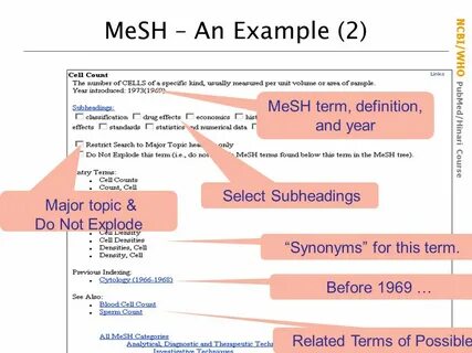Terms examples