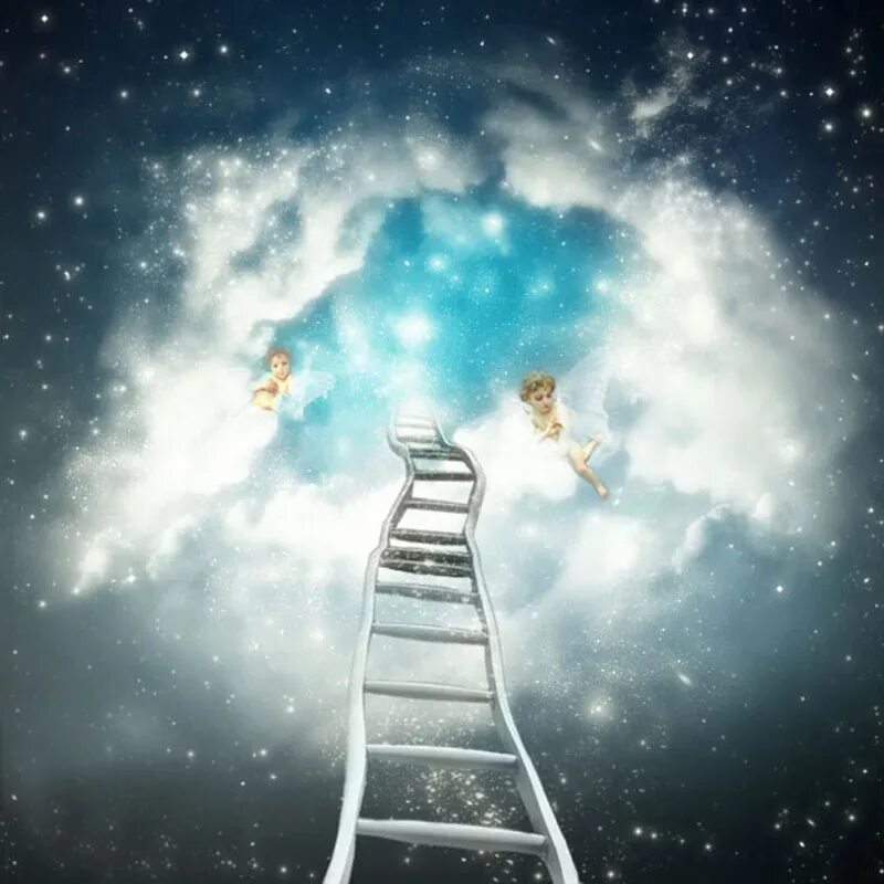 Сон приснилась лестница. Лестница в небо. Лестница к звездам. Лестница жизни. Лестница к Богу.