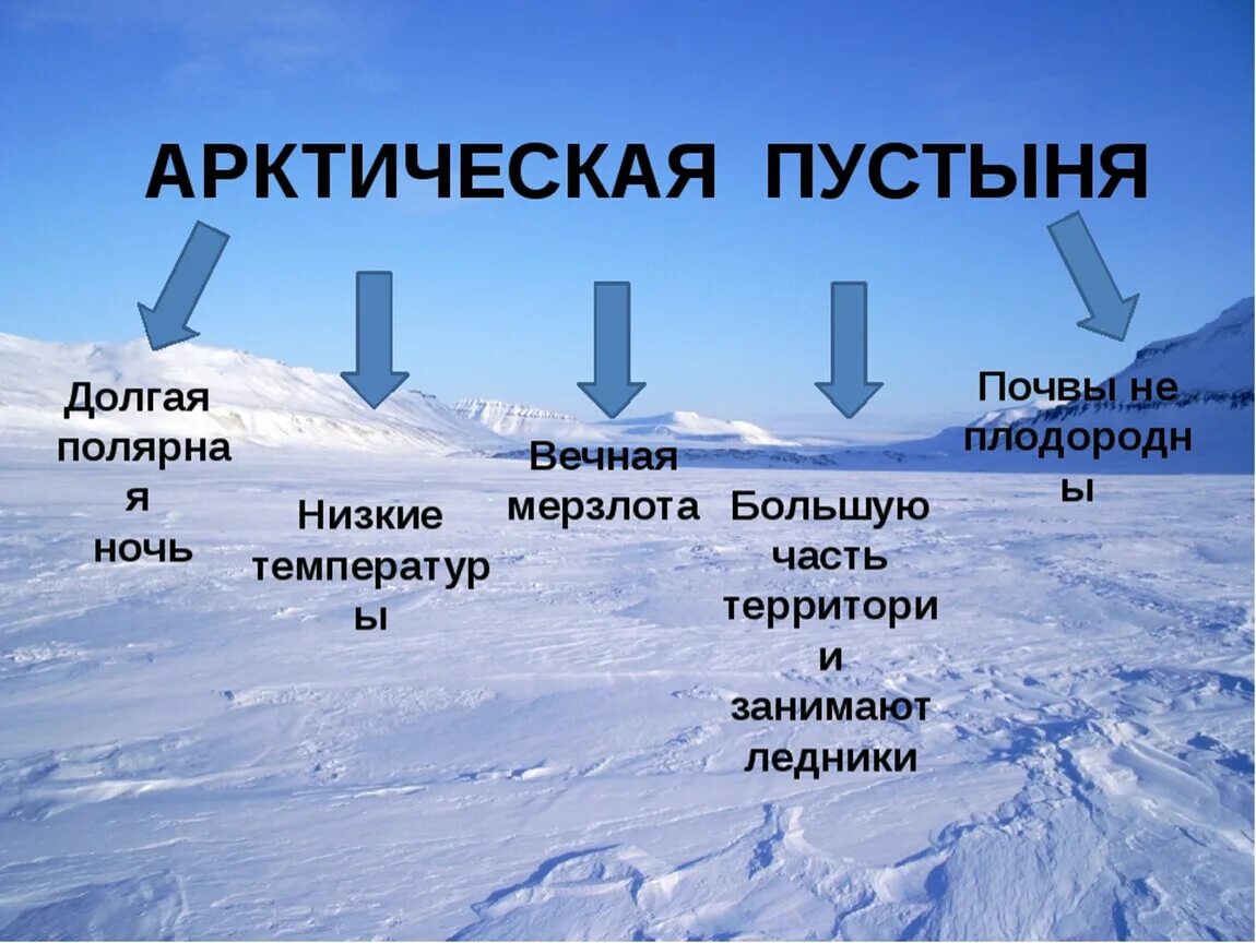 Сколько осадков выпадает в арктических пустынях. Зона арктических и антарктических пустынь на карте. арктическая пустыня характеристика. арктические пустыни характеристика. особенности зоны арктических пустынь.
