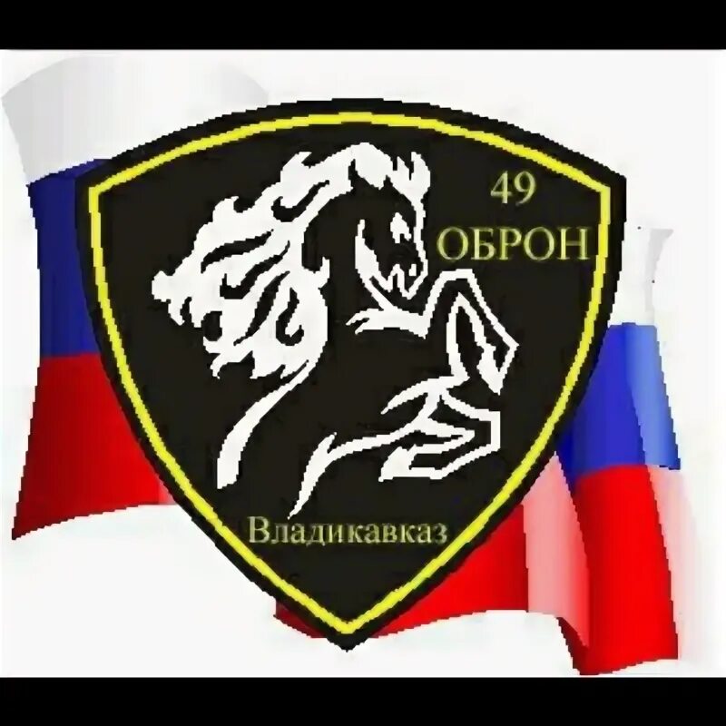 Оброн вв. 49 отдельная бригада оперативного назначения. 46 оброн вв мвд. 3754 войсковая часть. войсковая часть 3754 чермен.