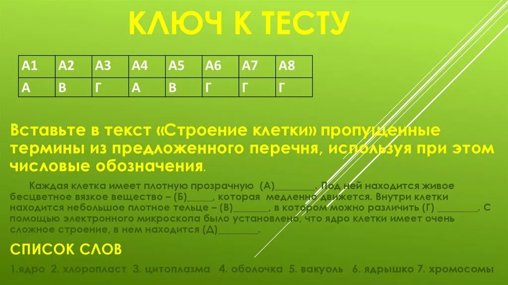 Под оболочкой находится бесцветное вязкое вещество. Каждая клетка имеет плотную прозрачную. живое бесцветное вязкое вещество которое находится под оболочкой.