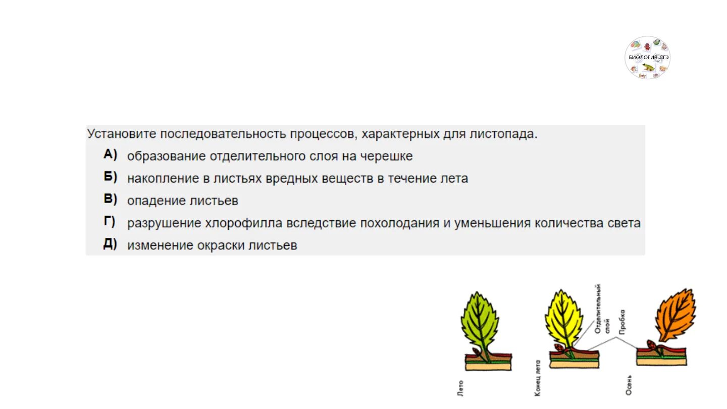 Схемы по биологии для огэ. Ботаника шпаргалка. Решу егэ ботаника. Картинки для егэ по биологии. Егэ биология задания.
