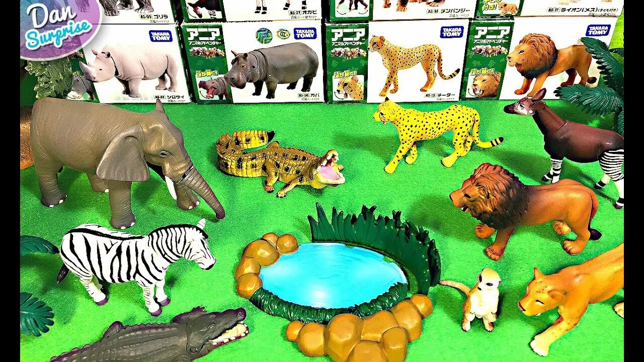 Kids box wild animals