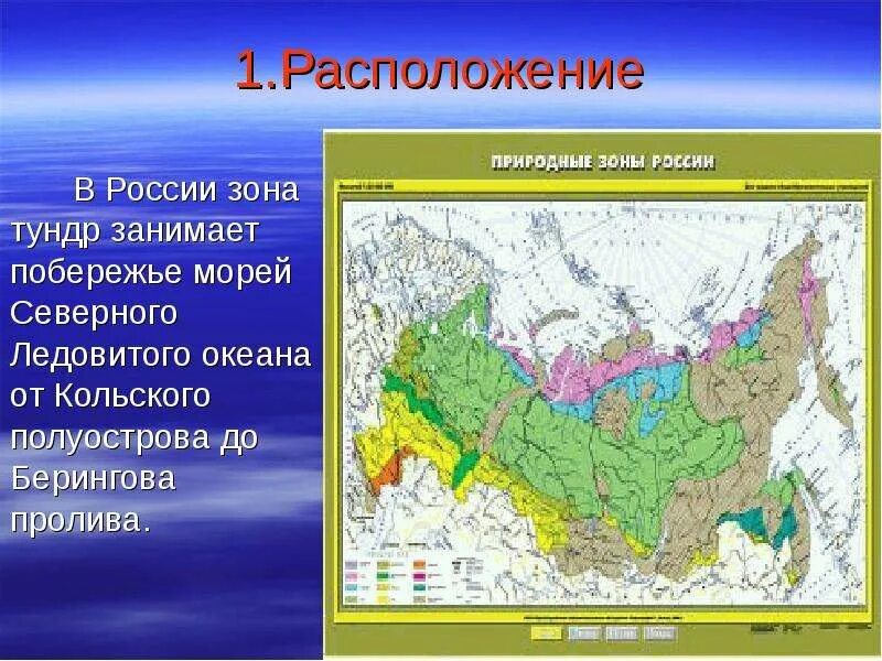 Тундра между природными зонами. Тундра расположение природной зоны. Рельеф тундры на карте. Расположение тундры в России. Карта природных зон.