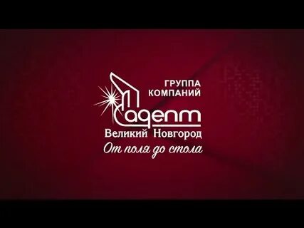 Компании адепт