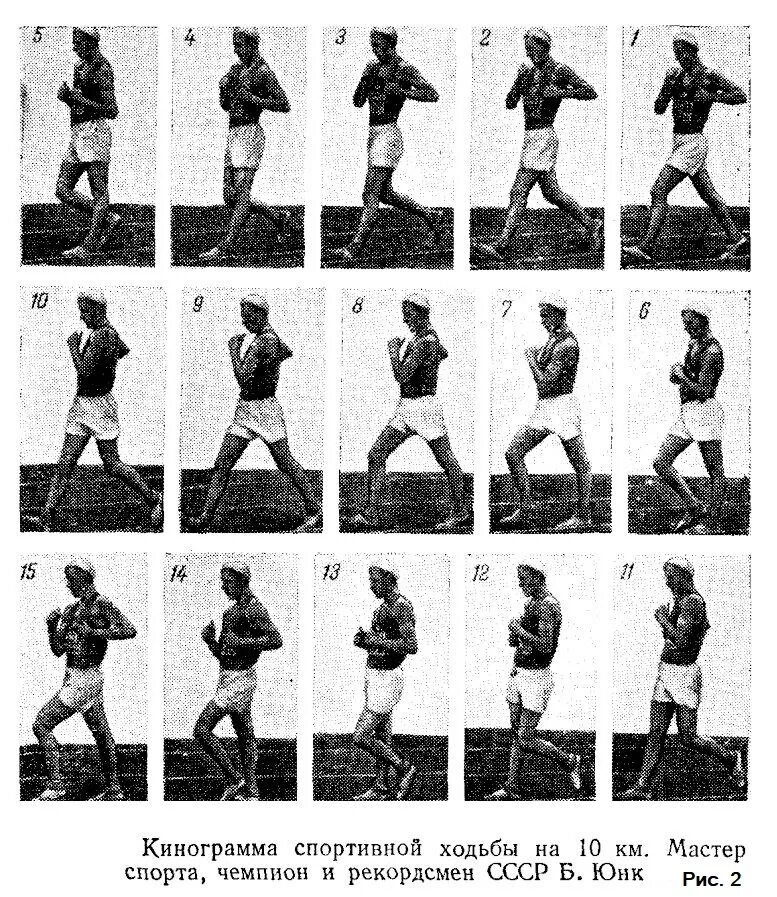 Спортивная ходьба техника. Движение таза при спортивной ходьбе. Техника спортивноймходьбы. Виды спортивной ходьбы. Шагай техника