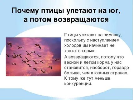 День мигрирующих птиц 2024
