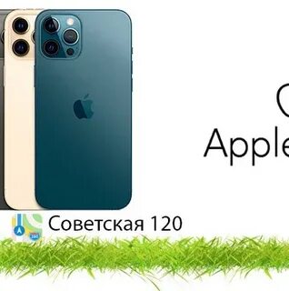 Яблоко кострома