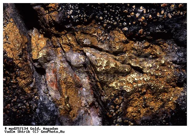 Золотая жила окна. Золотая жила. Золотая руда в шахте. Магадан золото. Золотая жила в породе.