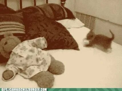 Спящий уж