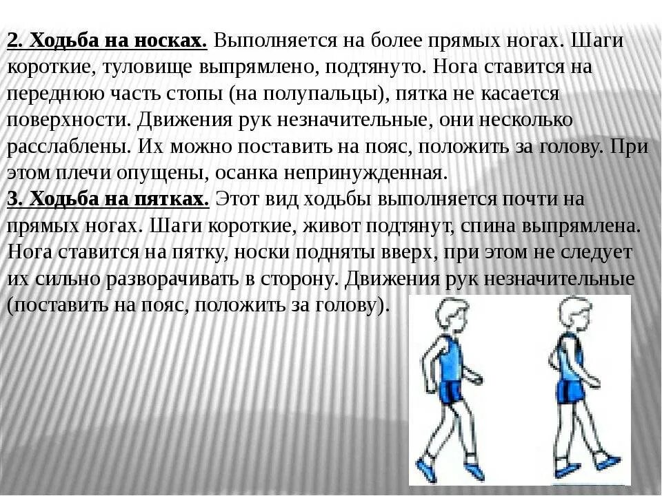 Ходьба в 3 4 лет. Ходьба на носках техника выполнения. ходьба на уроках физической культуры. упражнения для развития ходьбы. ходьба основных движений для дошкольников.