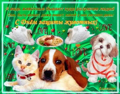Всемирный день животных открытки