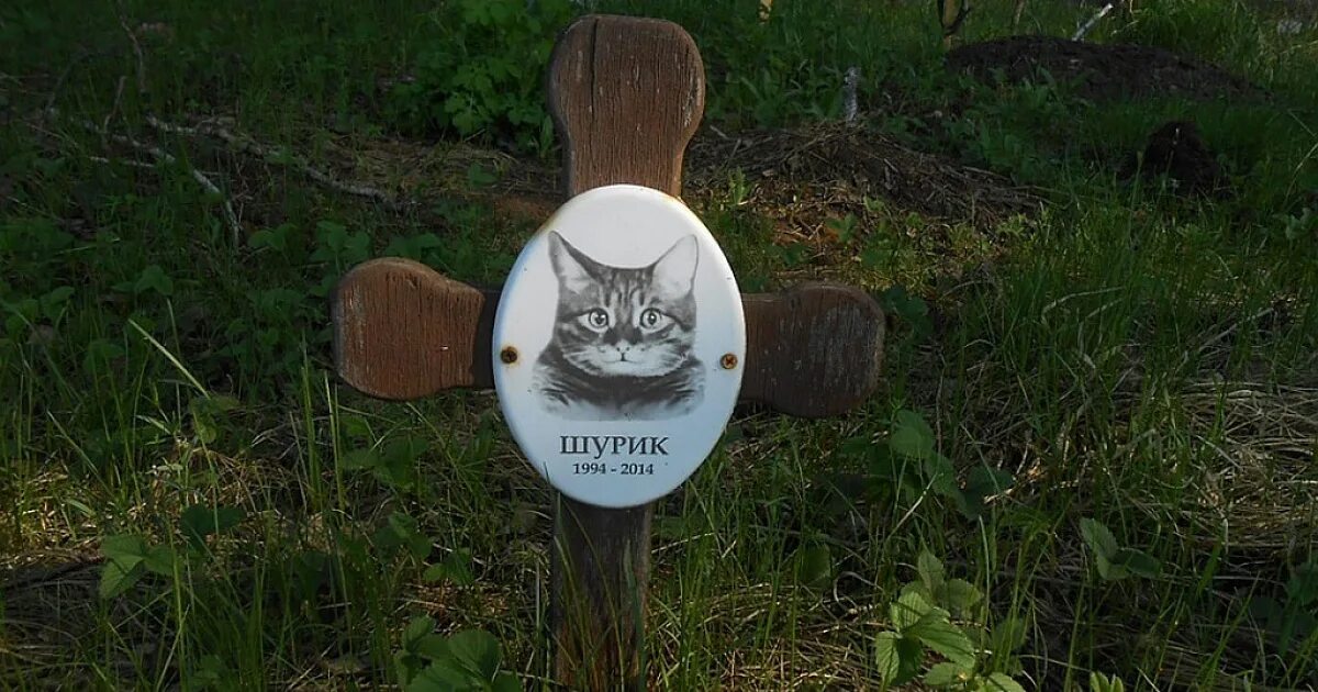 Где хоронят животных. Кладбище животных челябинск. кладбище домашних животных челябинск. челябинское кладбище животных. московское кладбище домашних животных.