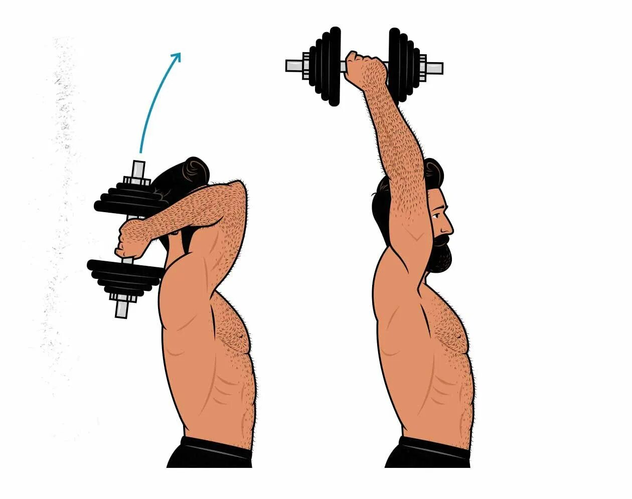 Хват гантели. Жим гантелей лежа параллельным хватом. dumbbell overhead triceps extension. жим гантелей хватом молот. жим штанги стоя.
