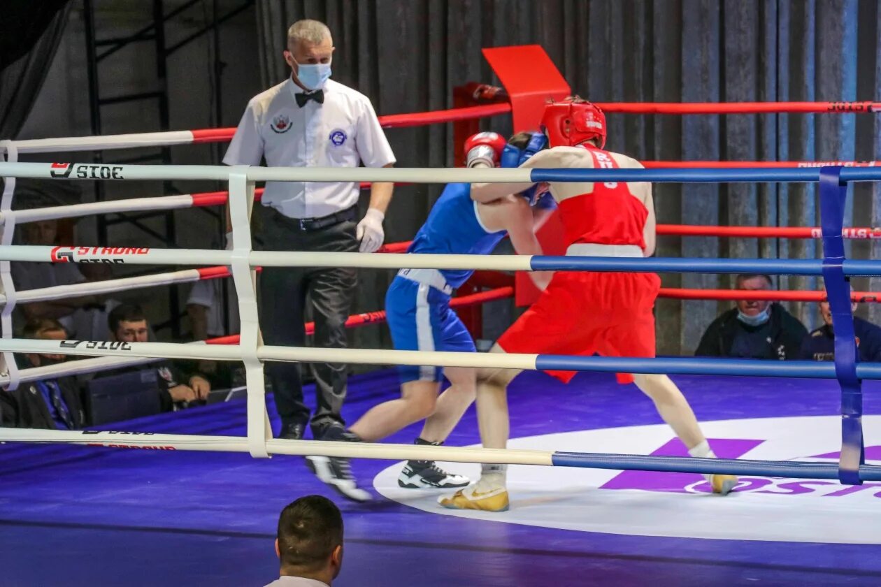 Дфо бокс. Бокс соревнования 2022 москва. Динил бокаев южно сахалинск бокс. Сердченков глеб. Дфо бокс.
