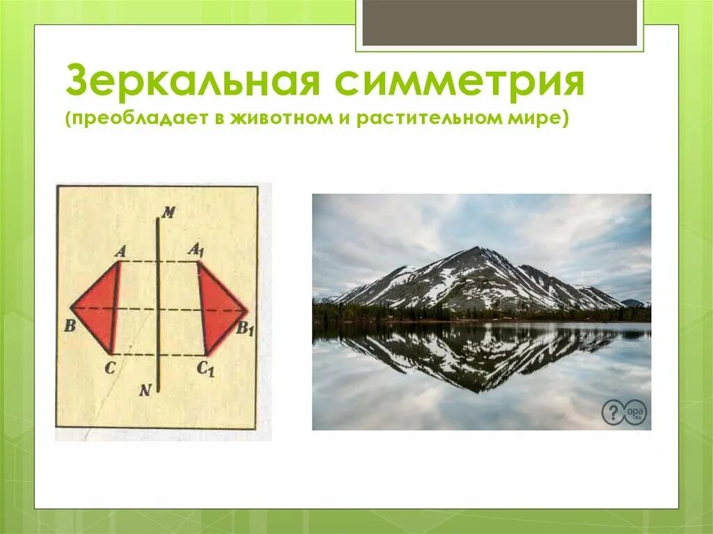 Осевая симметрия вид. Зеркальная симметрия. Симметричные изображения. Зеркальная симметрия (симметрия относительно плоскости). Зеркальная симметрия примеры.