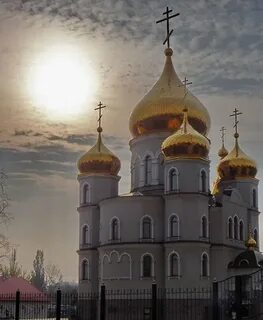 Ждановка