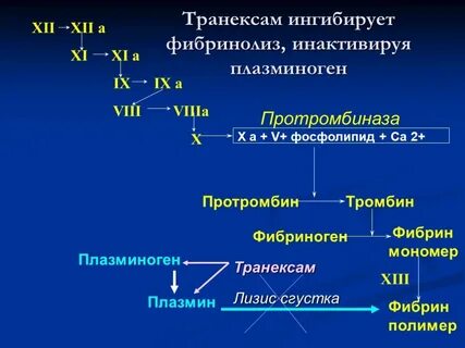 Ингибирует