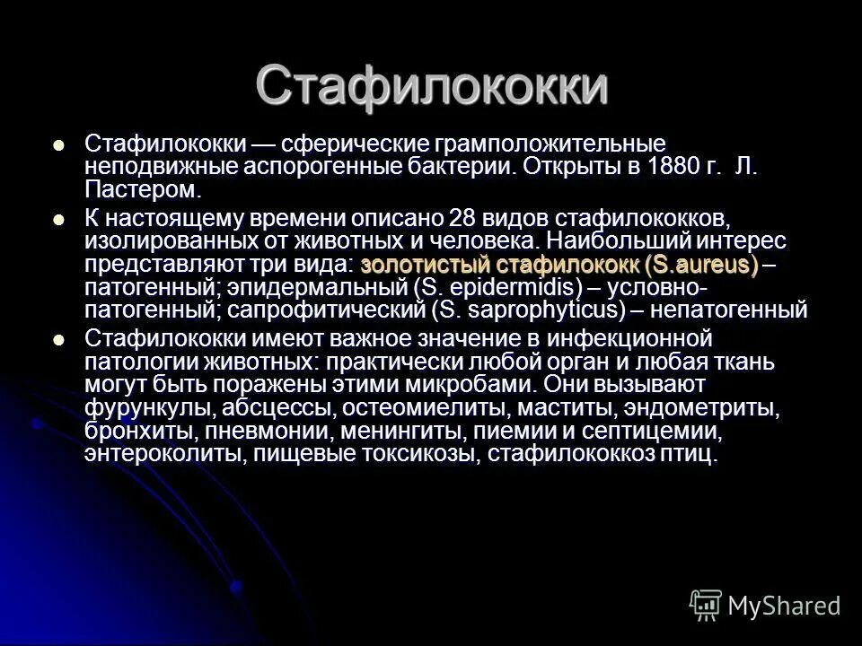 Стафилококки микробиология презентация. Стафилококк презентация. Стафилококки кратко. Стафилококковые инфекции презентация. Staphylococcus aureus 4