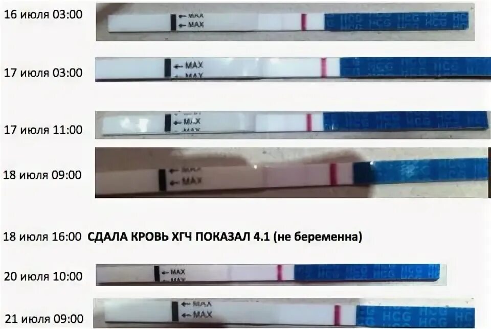 Тянет живот на 2 неделе беременности. Если тест ХГЧ показывает вторую еле видно полоску. Тест ХГЧ показал 3 полоски. Задержка неделю тест отрицательный матка увеличена. Кровь на ХГЧ месячные через 9 дней,на тесте бледная полоска.