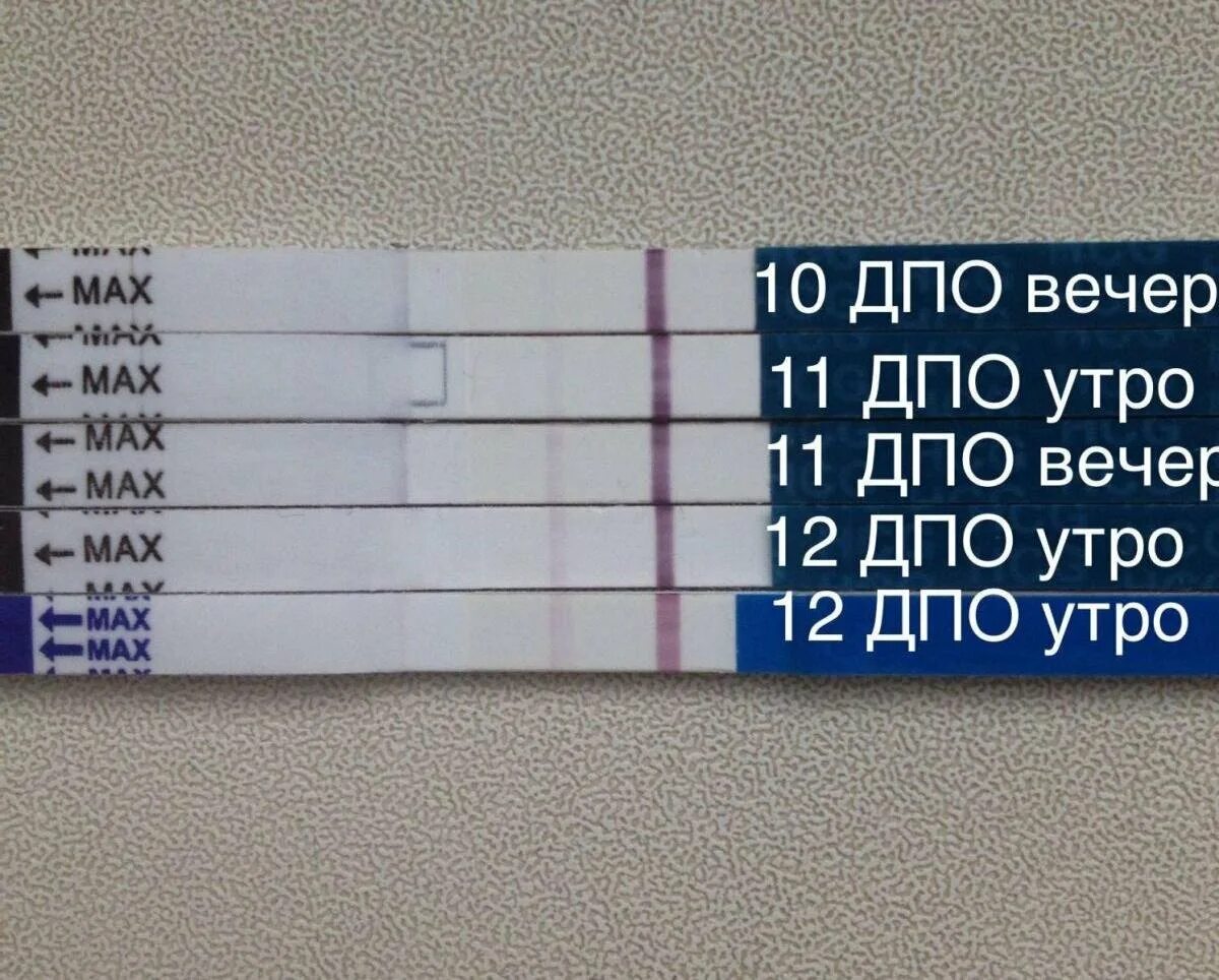 Колотый тест. 11 ДПО тест. 11 ДПО тест на беременность. 11 ДПО вечер тест. 11 День ДПО тест.