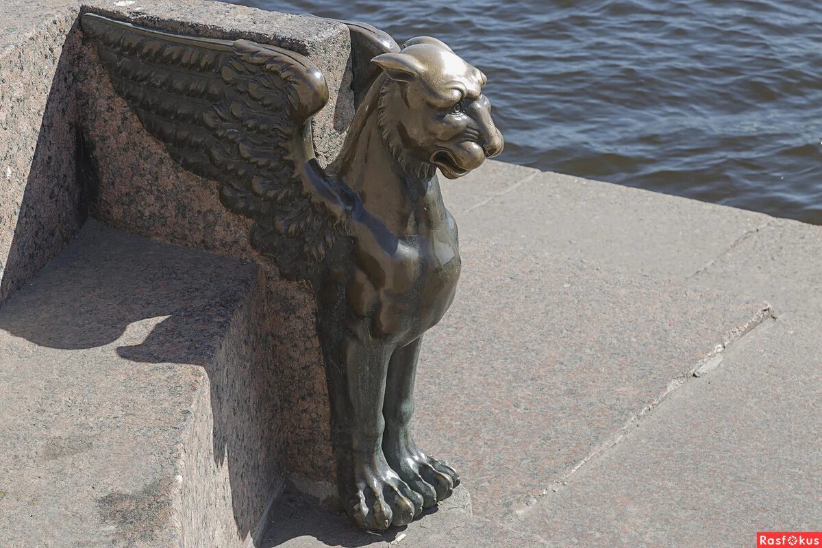львы у академии художеств санкт-петербург. грифоны сфинкс. грифоны петербурга. грифоны сфинкс. львы у академии художеств санкт-петербург.