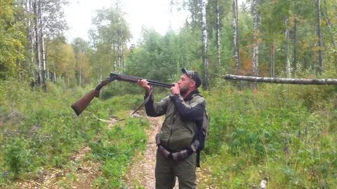 Как манить лося