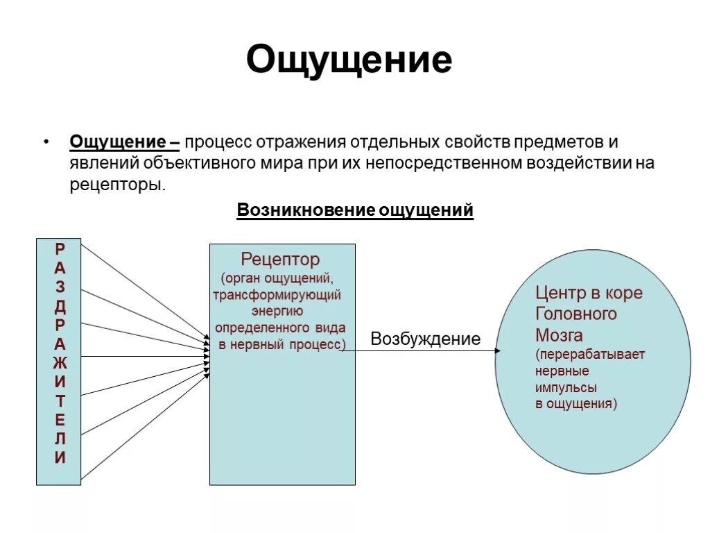 Свойства процесса ощущений. Процесс ощущения. Психический процесс ощущение. Возникновение отдельных ощущений. Познавательные процессы виды ощущений.