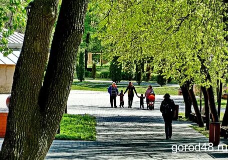 Уровень липецк