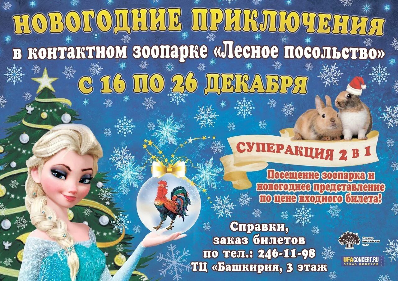 Зоопарк как работает в новогодние праздники. Новогодние программы в зоопарках. новогодние приключения надпись. зоопарк новогоднее представление. новогоднее представление надпись.