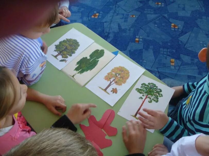 Занятие по экологии. Занятие по экологии в детском саду. Занятие по экологии в ДОУ. Экологические занятия в ДОУ.