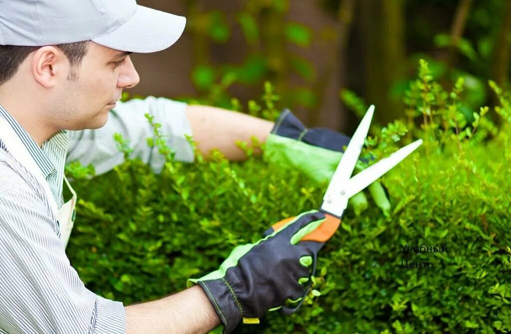 Ухаживание за садом. Умный уход за вашим садом. Gardener png. Gardener png. Садовник.