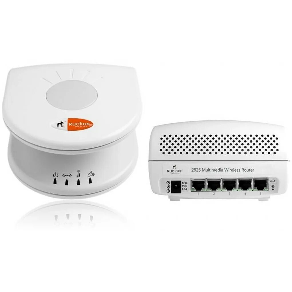 Wi products. Роутер Ruckus. WIFI точка доступа Ruckus. Точка доступа WIFI Ruckus r550. Ruckus Smart Zone 100.