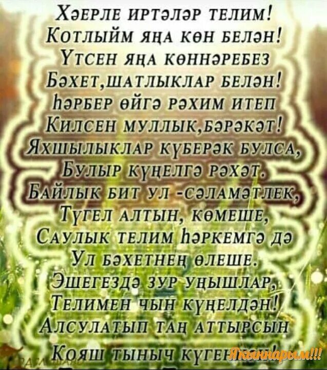 Сою сою нигэ алдадын син бэхет бэхет