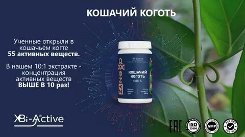 Применение кошачьего когтя отзывы