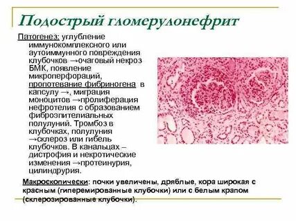 Поражение канальцев почки